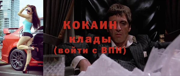 шишки Богданович