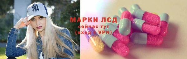 шишки Богданович