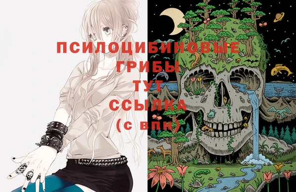 шишки Богданович
