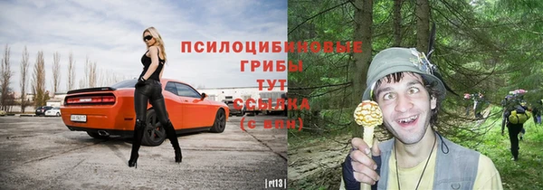 синтетический гашиш Богородск